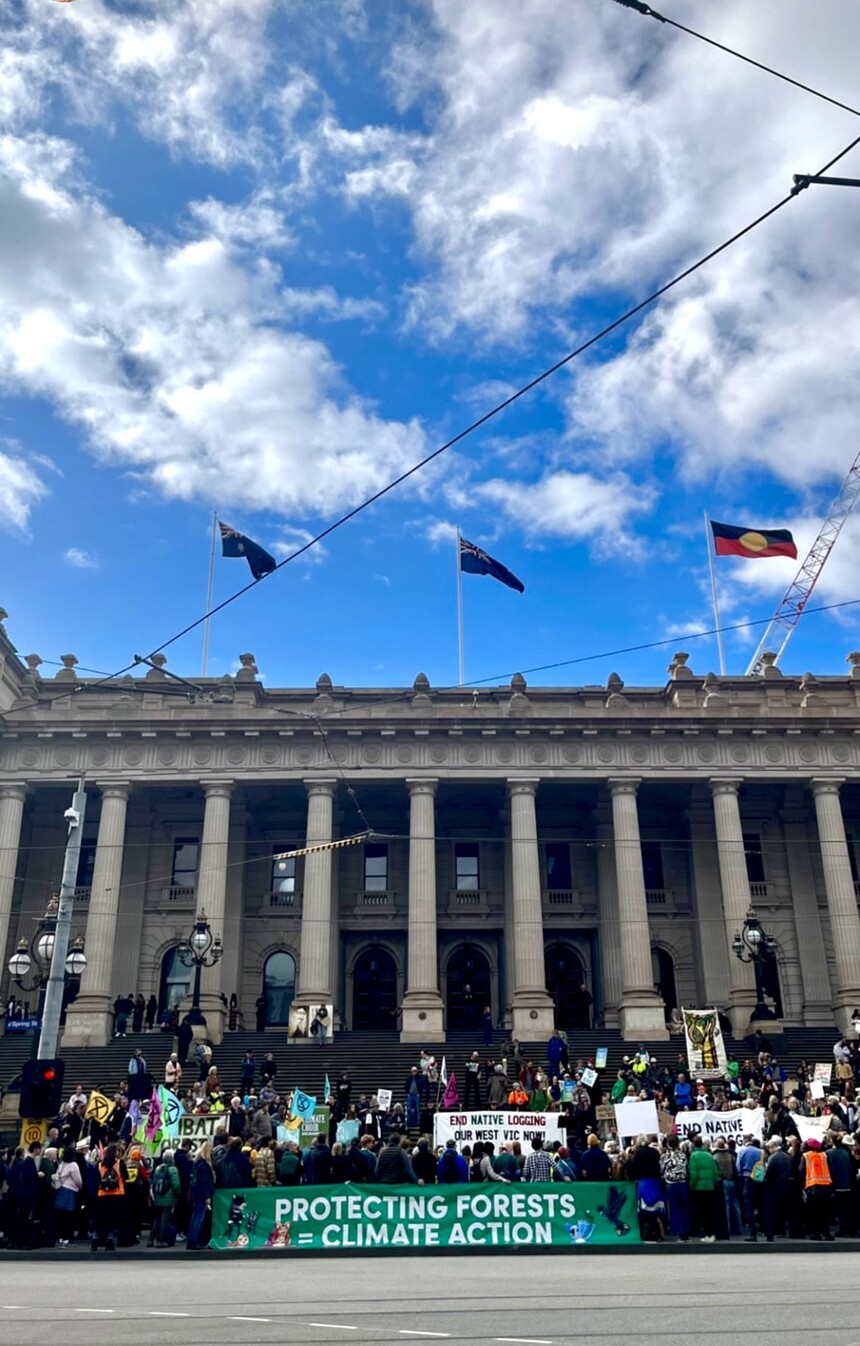 Rally for Native Forests